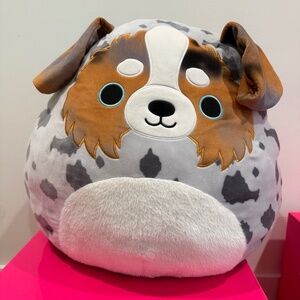 JUMBO 24" Squishmallow Raylor (The Australian Shepherd)